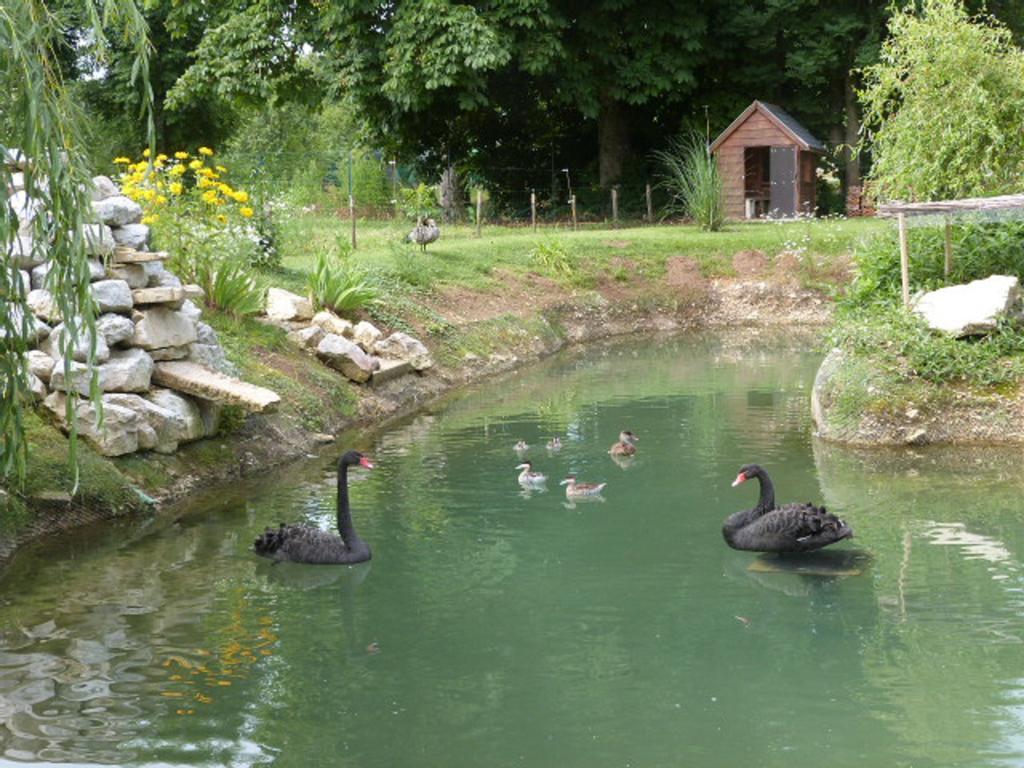 Le Bocard Villa Thonnance-lès-Joinville Buitenkant foto